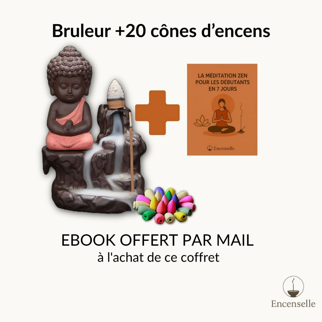 Brûleur Bouddha + 20 Cônes