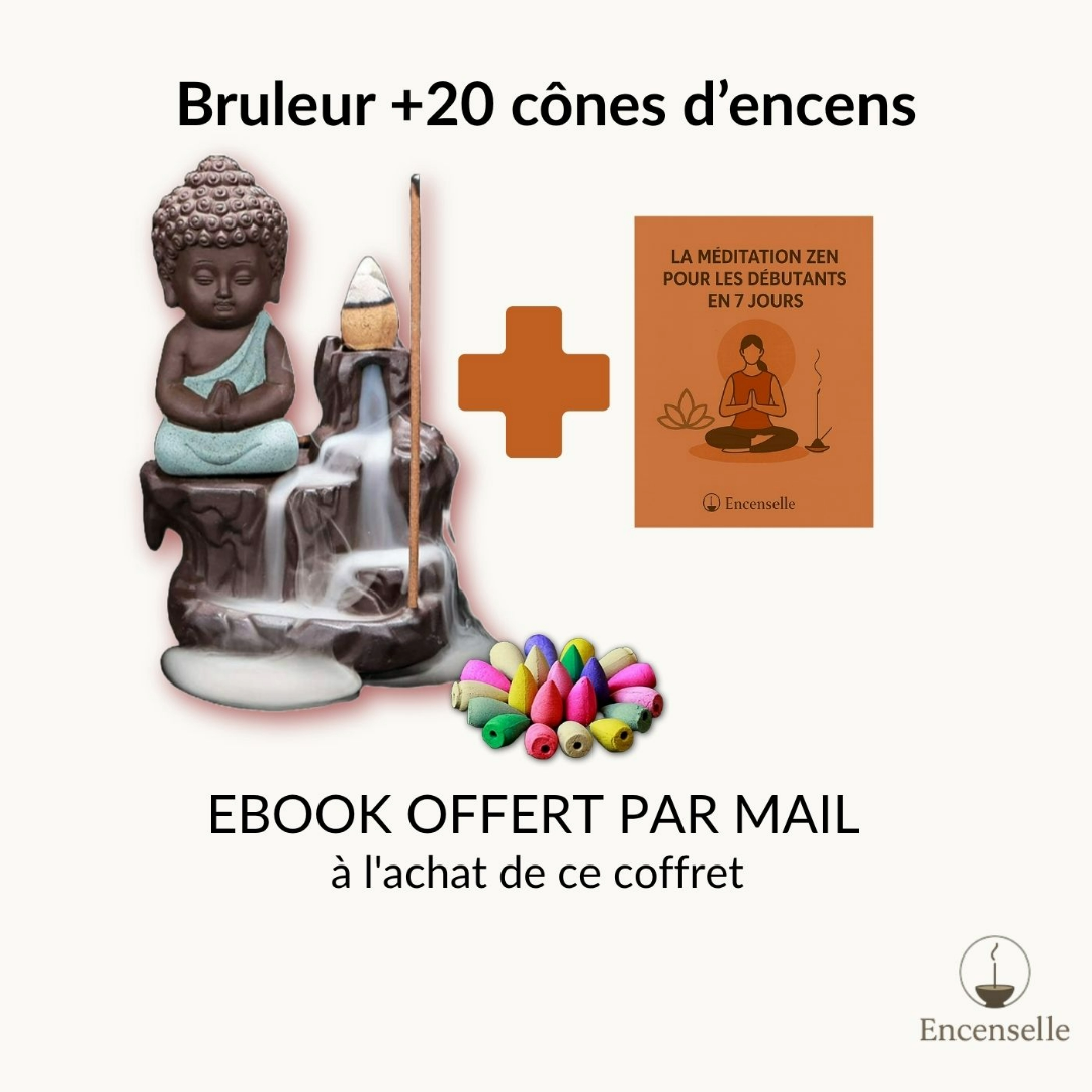 Brûleur Bouddha + 20 Cônes